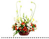 vase26